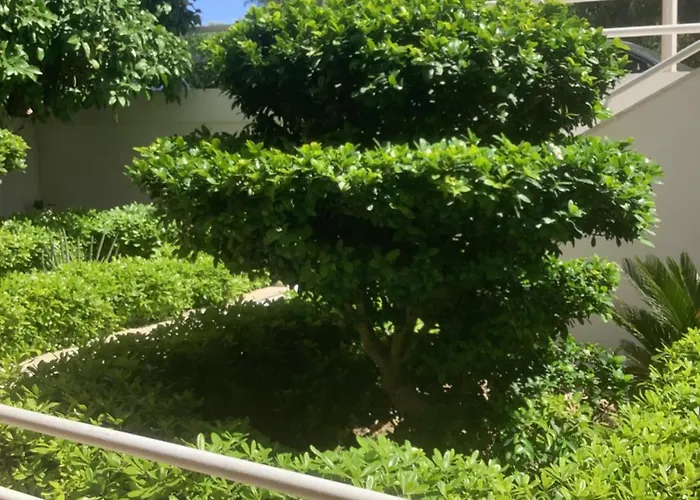 Kallipateira בית נופש עיר רודוס