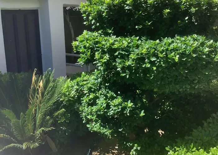 Kallipateira Rhodes City