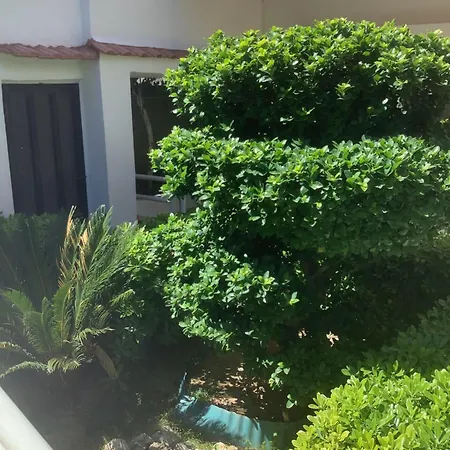 Kallipateira Родос